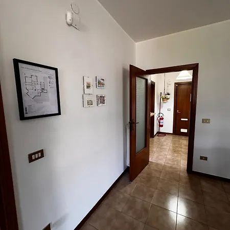Urban Nest 12 *