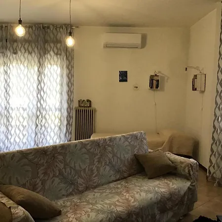 Urban Nest 12 *