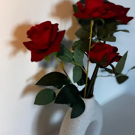 Daire Urban Nest 12